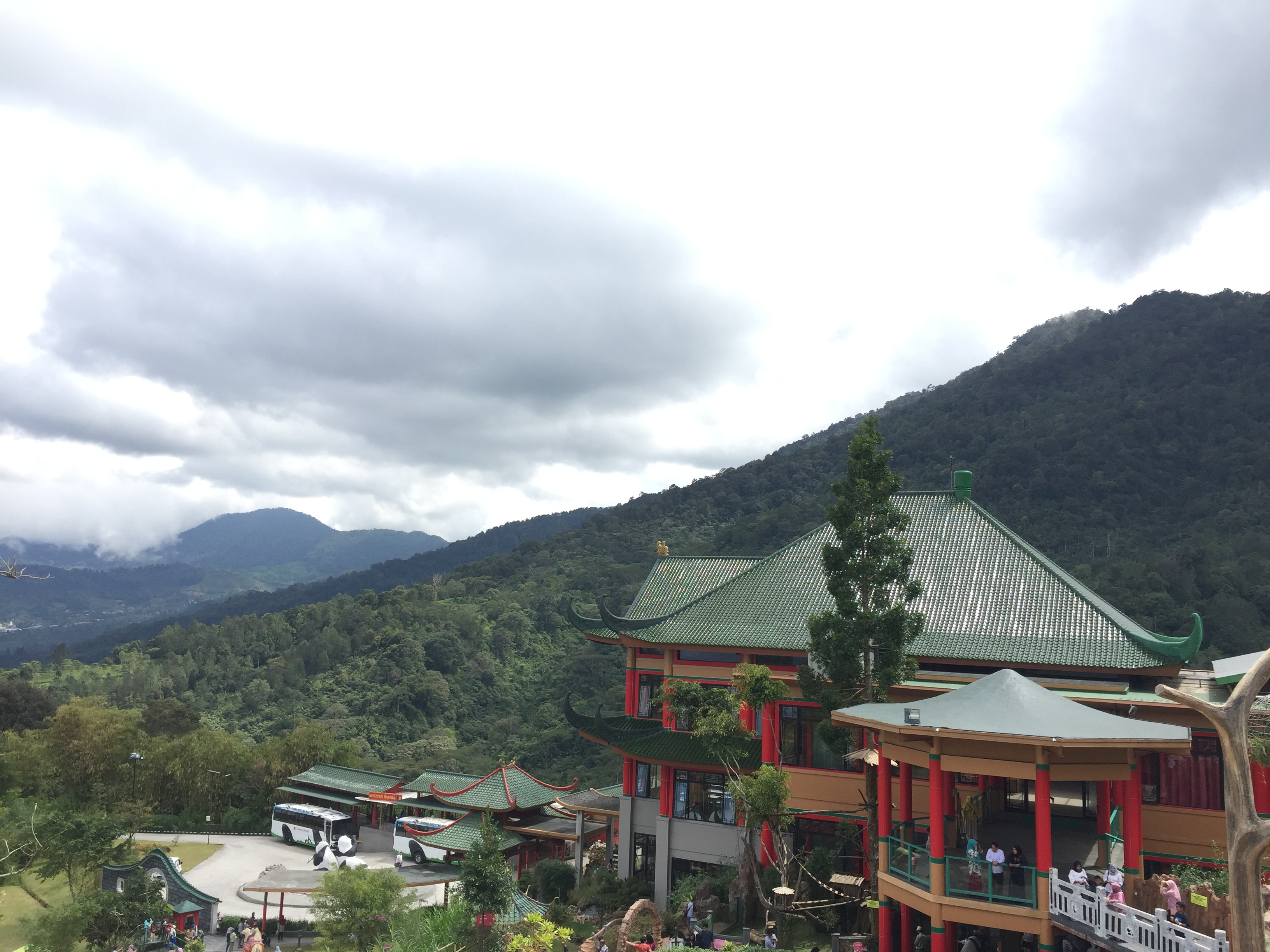 blog